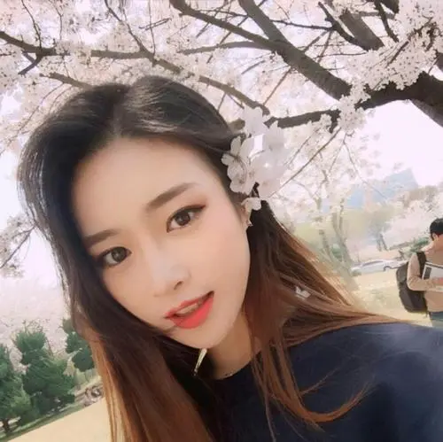 优秀的个人博客,低调大师