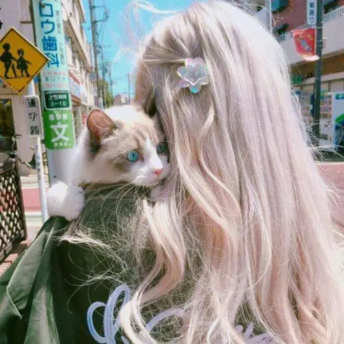 优秀的个人博客,低调大师