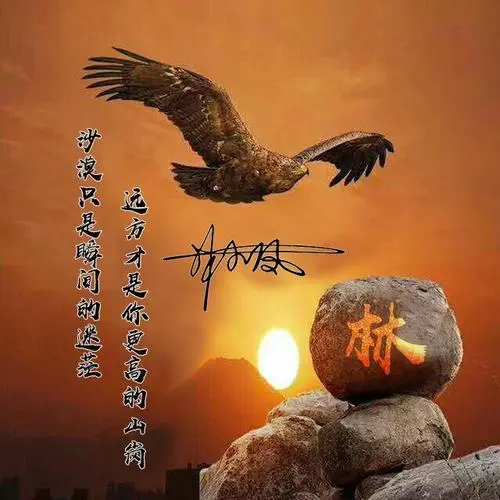 优秀的个人博客,低调大师