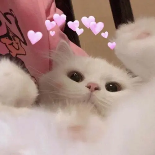 优秀的个人博客,低调大师