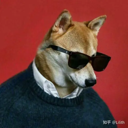 优秀的个人博客,低调大师