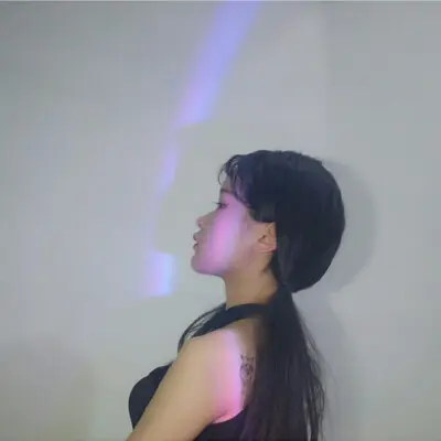 优秀的个人博客,低调大师