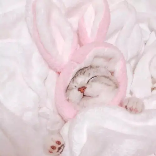 优秀的个人博客,低调大师