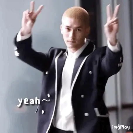 优秀的个人博客,低调大师